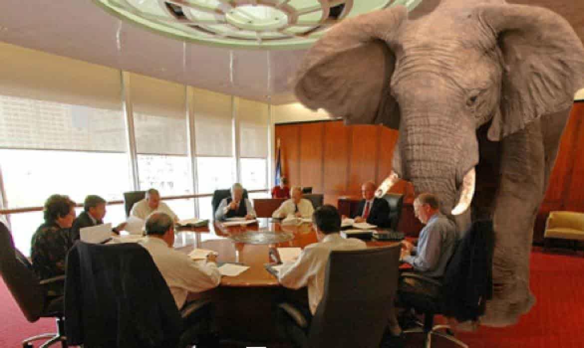 El elefante en tu empresa.