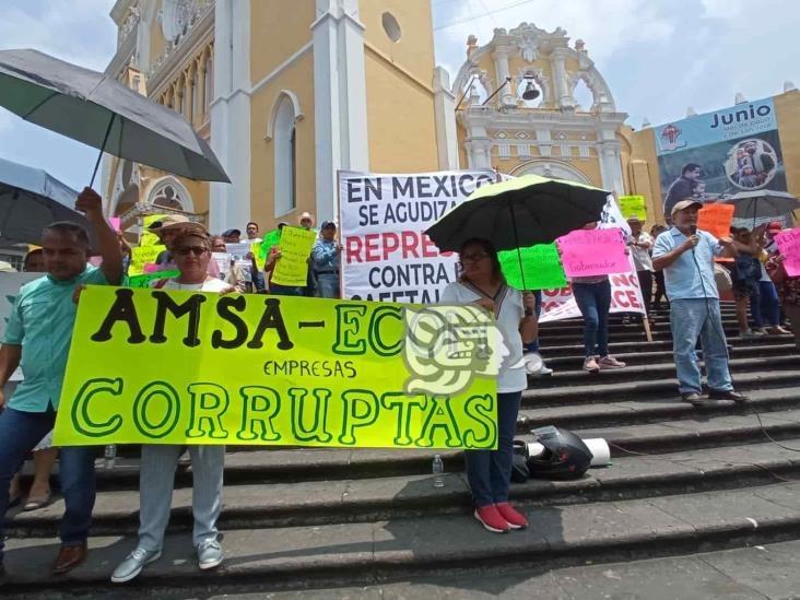 Cafetaleros de Veracruz planean acudir a la Mañanera para denunciar abusos