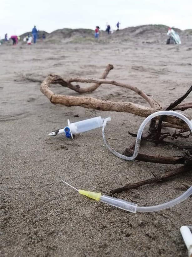 Ecokaans realizaron jornada de limpieza en playas de Coatzacoalcos