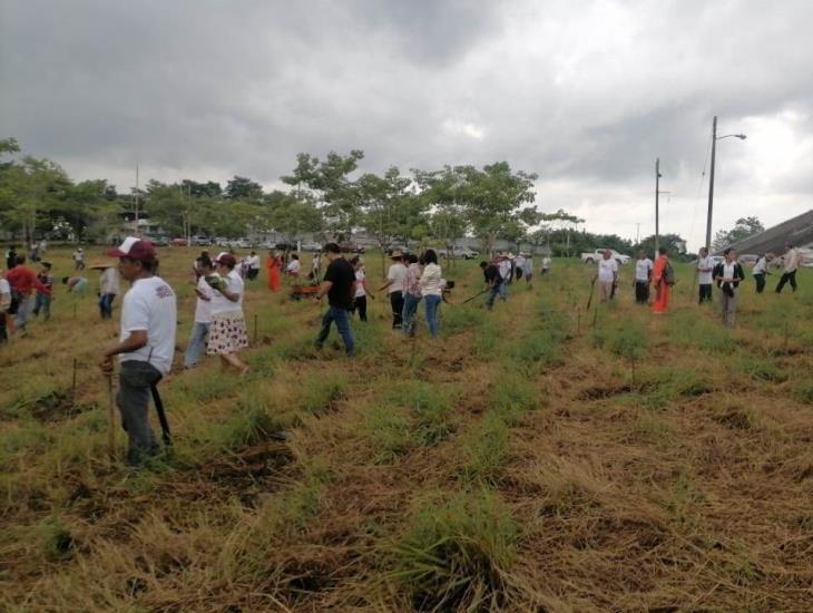 Reforestan terreno azufrero en Texistepec ¡Plantaron 2800 árboles!