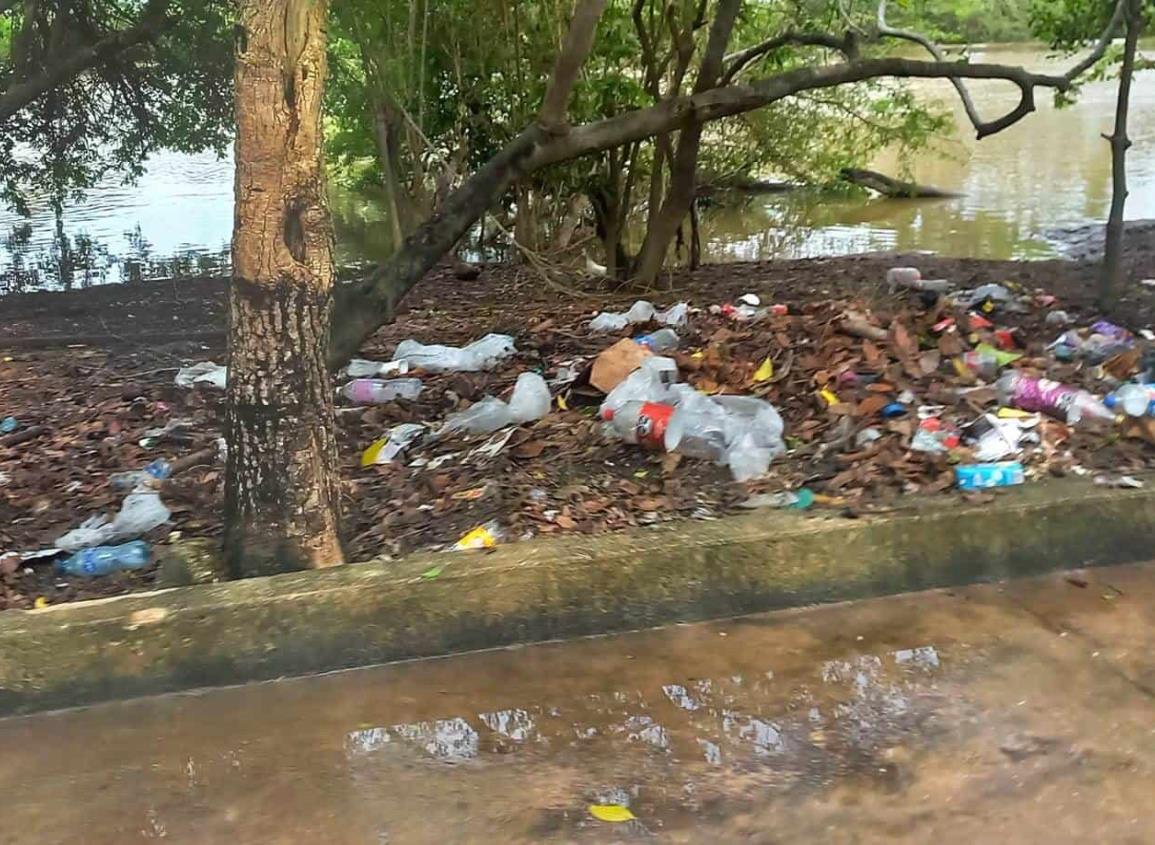 Ríos y canales tapizados de basura; riesgo de inundación en Las Choapas