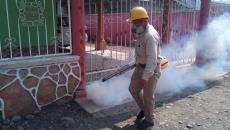 IMSS alerta sobre mayor reproducción del dengue durante lluvias en el sur de Veracruz