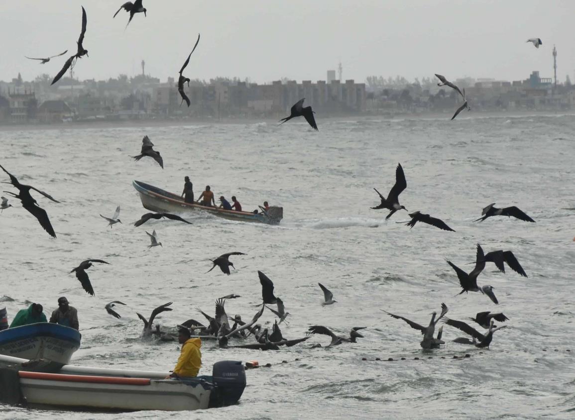 Se desploma producción pesquera por derrames de hidrocarburo en el sur de Veracruz