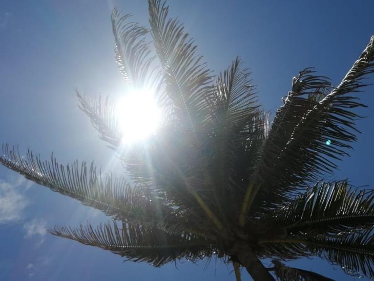 ¿Seguirá el bochorno? Esto se prevé del clima en Coatzacoalcos hoy