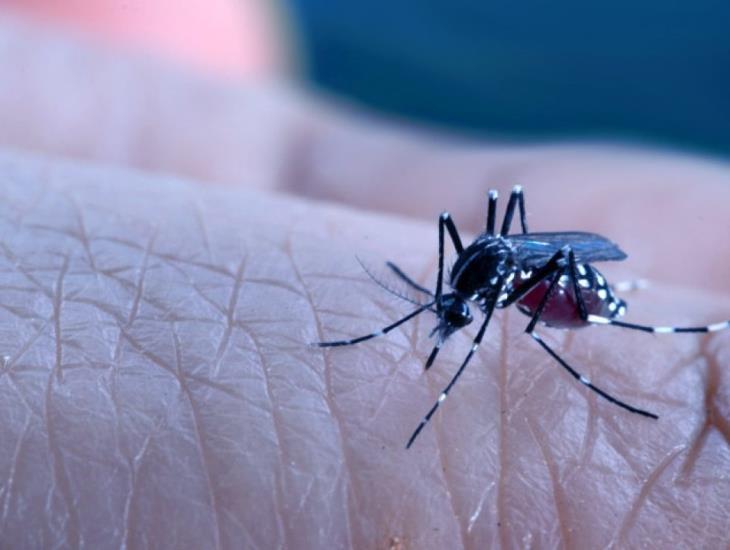 Más de 1000 casos de dengue en Veracruz; incrementó 5 veces en comparación de 2022
