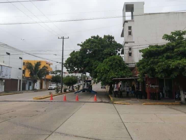 Cierran avenida Bravo por frondoso árbol