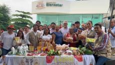 Sembrando vida ha reducido la pobreza en Veracruz  | VIDEO