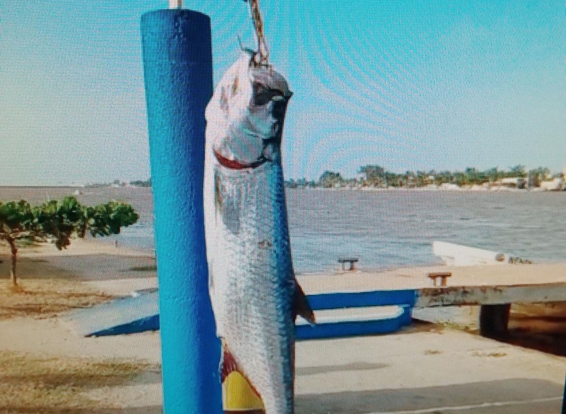 Hay nuevo líder en el Torneo de la Pesca del Sábalo