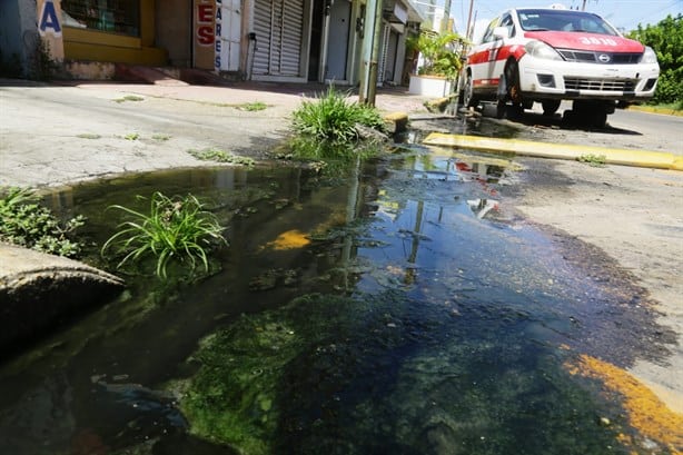 Fuga de aguas negras en Allende y Juárez tiene hartos a los vecinos
