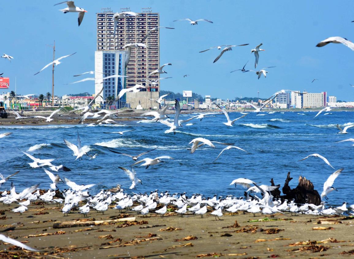 Sensación de calor de 45 grados en Coatzacoalcos ¿Cuándo vuelve a llover?