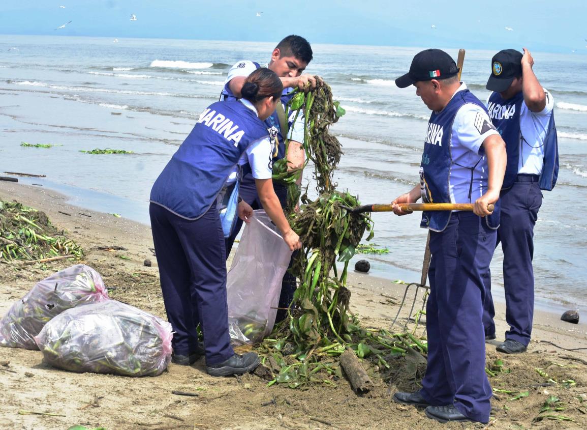 Marina realiza jornada de limpieza en playas de Coatzacoalcos