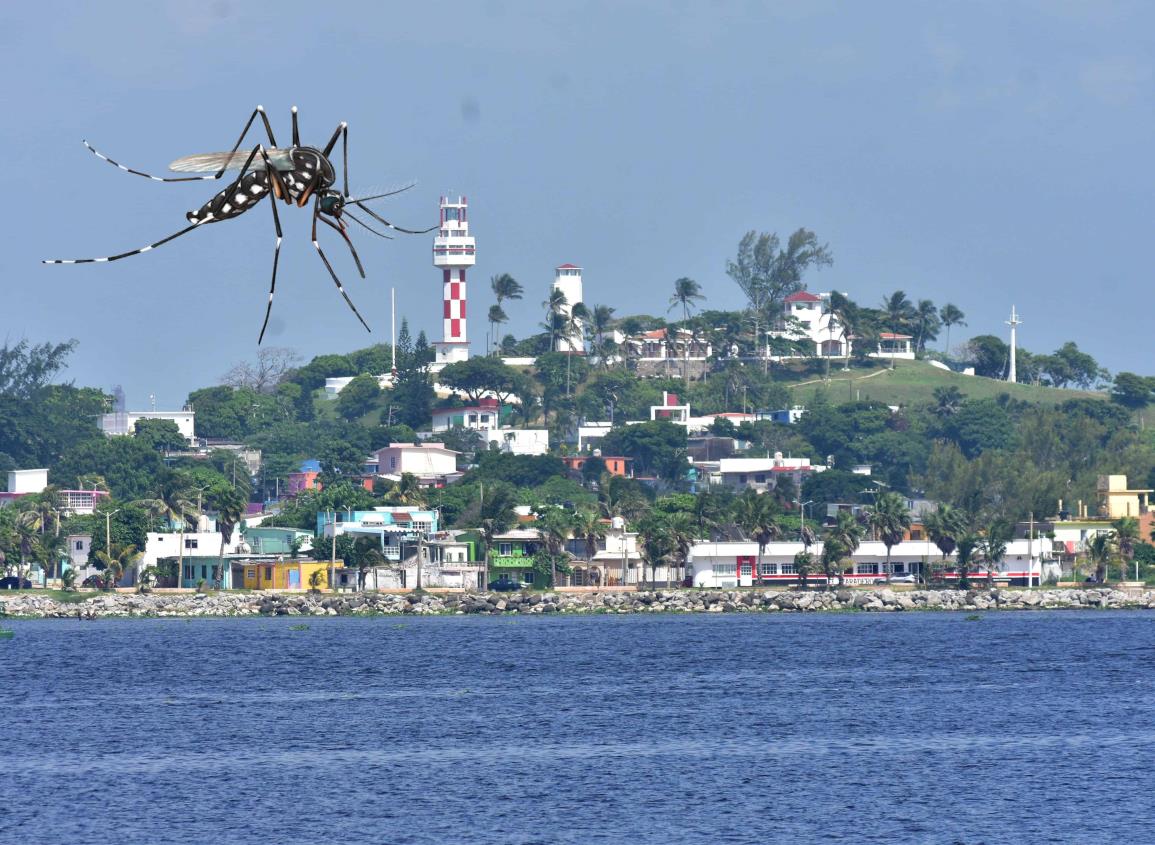 Colonias de Villa Allende consideradas foco rojo de dengue