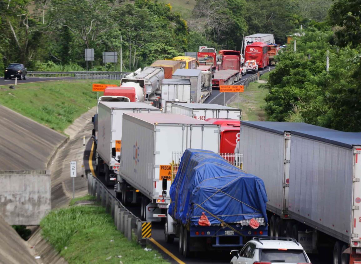 ¿Cuántas unidades de carga han sido robadas este año en carreteras de Veracruz?