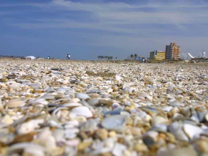 ¿A qué cultura pertenece Coatzacoalcos? Estos fueron nuestros antepasados