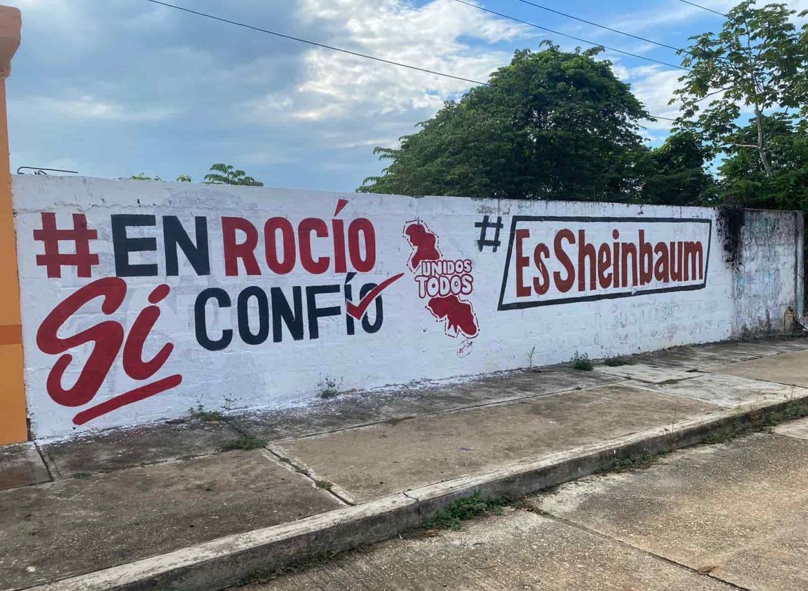 Pintan bardas en favor de Rocío Nahle a pocas horas de ser anunciado que buscará la gubernatura
