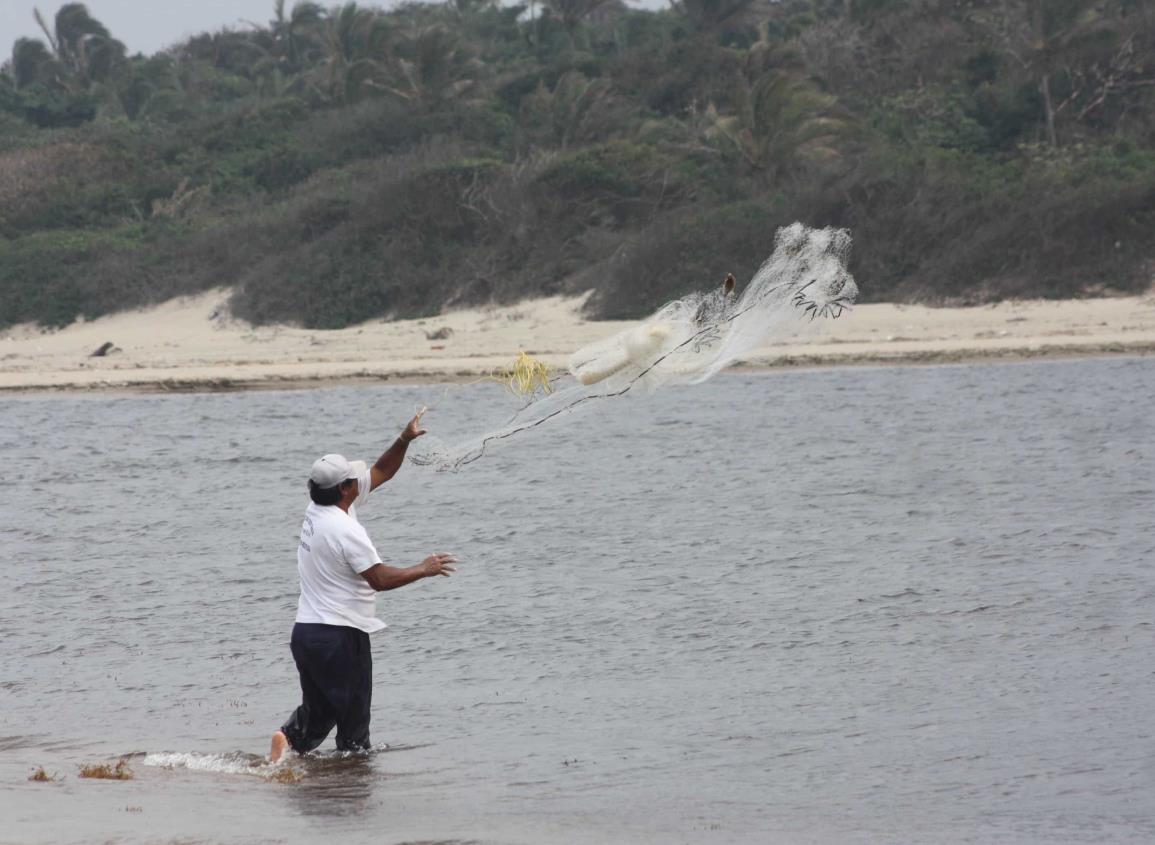 Pescadores libres amenazan la población de camarones con redes ilegales en Tonalá