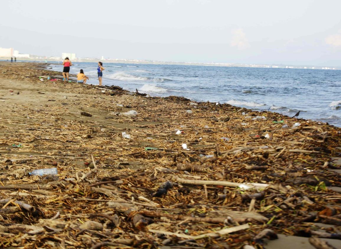 Palotada, lirio y basura terminan en la playa de Coatzacoalcos tras lluvias