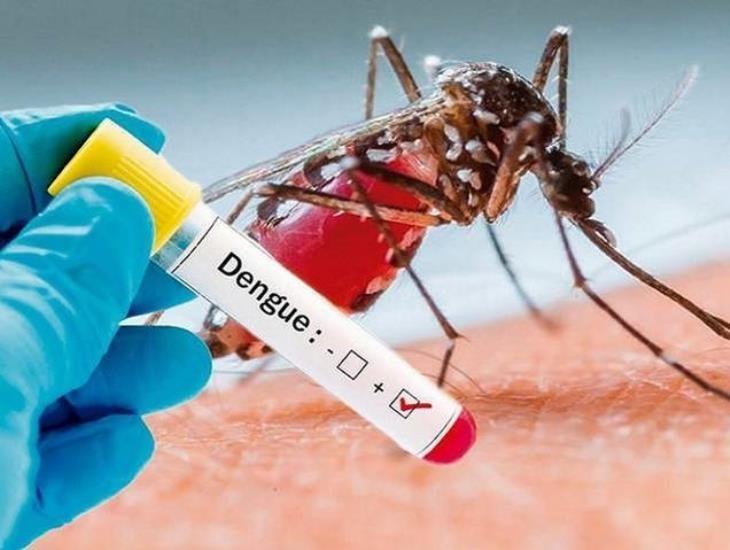 Casos de dengue: Veracruz en segundo lugar a nivel nacional