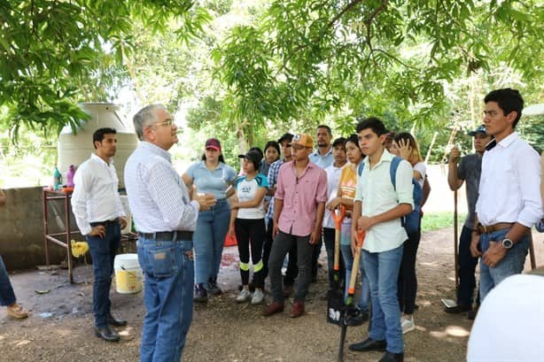 UV impulsa cría de pollos para alimento de migrantes en Acayucan