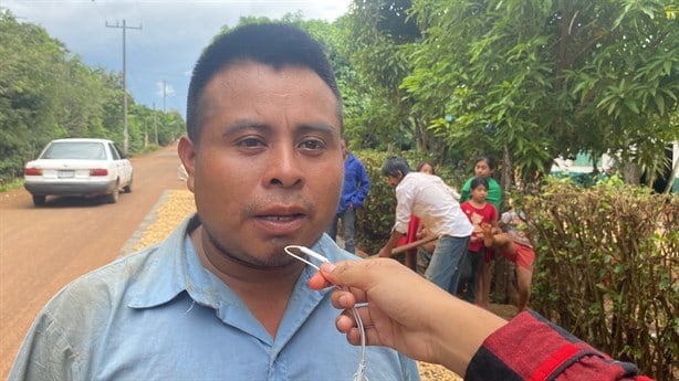 Producción de cacahuate en la sierra sur de Veracruz, importante actividad económica | VIDEO