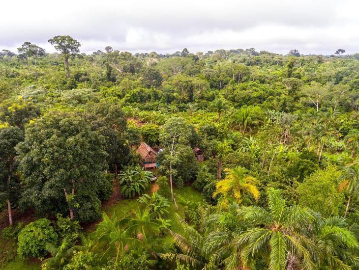 AGROFORESTERÍA DE REGENERACIÓN