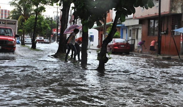 ¿Tu colonia se inundó? Esto puedes hacer para evitar que eso ocurra