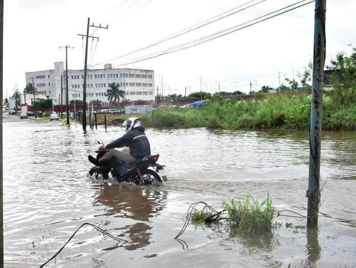 ¿Tu colonia se inundó? Esto puedes hacer para evitar que eso ocurra