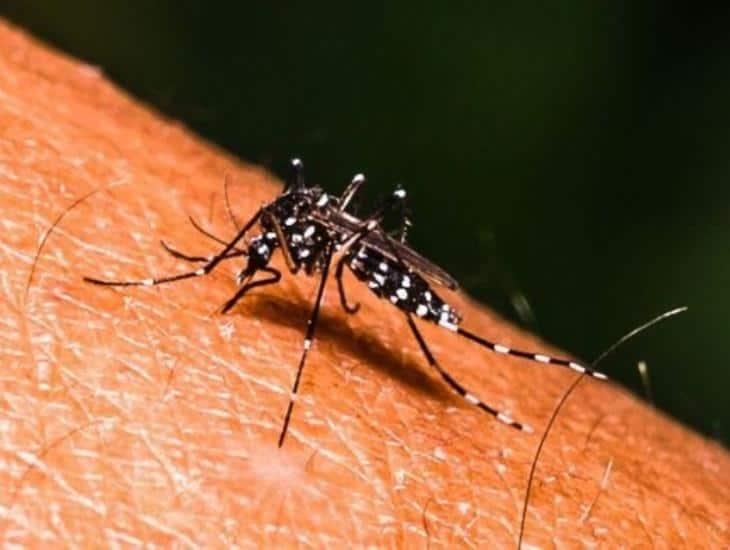 Dengue en Veracruz se dispara; es el estado con más fallecimientos en México