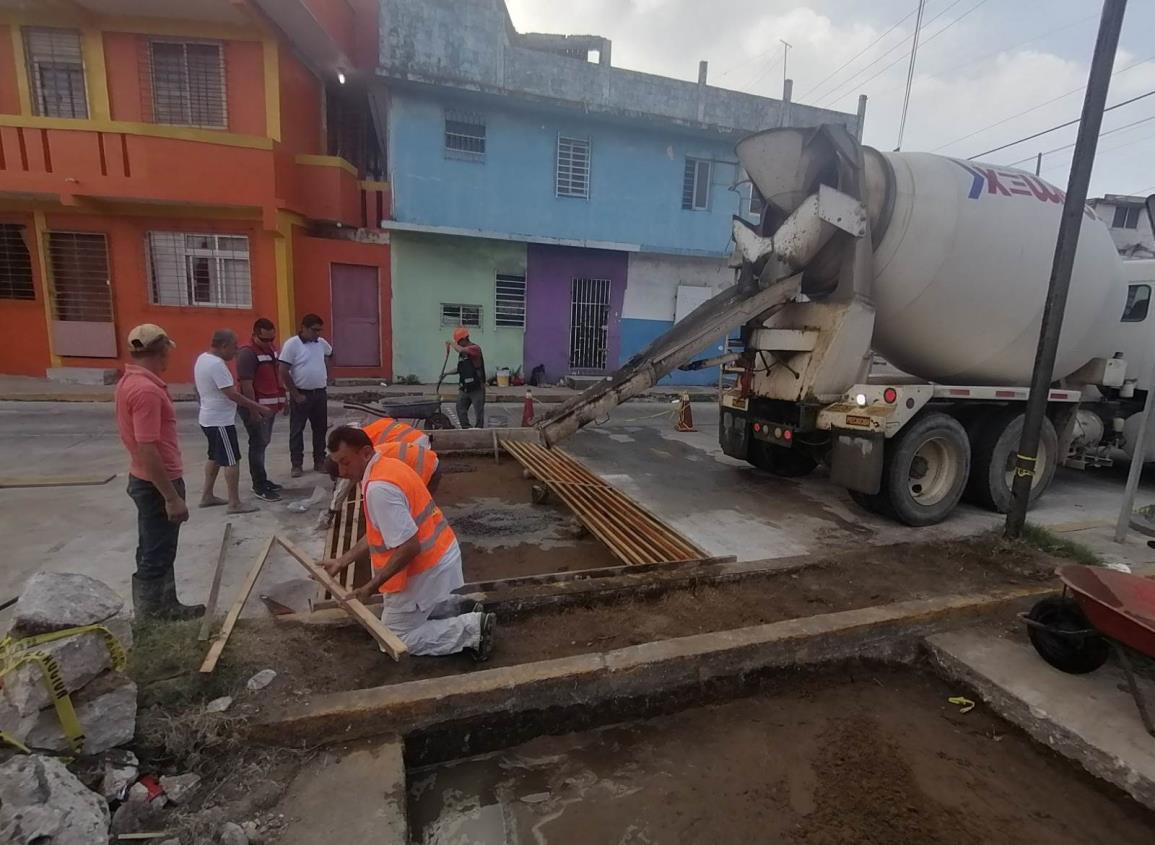 Trabajan en colocación de pasos peatonales en avenida General Anaya | VIDEO