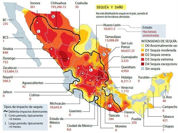 Sequía arrasa con campos en México; ¿Qué estado es el más afectado?