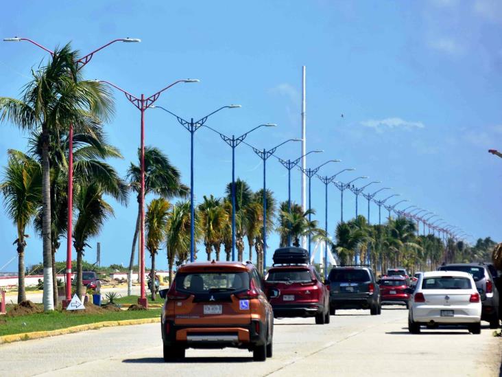 Malecón de Coatzacoalcos: inició reforestación de palmeras; así avanza modernización de primera etapa | FOTOS