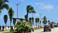 Malecón de Coatzacoalcos: inició reforestación de palmeras; así avanza modernización de primera etapa | FOTOS