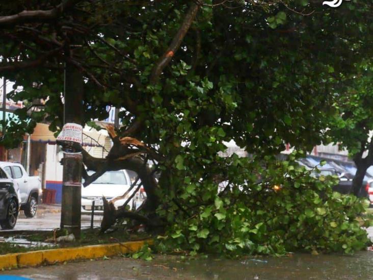 Frente Frío 8 en Coatzacoalcos; en fotos el recuento de los daños