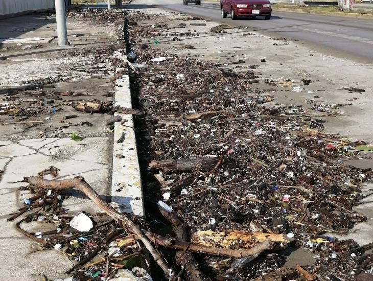 Clima en Coatzacoalcos: Frente Frío 8 con potencial ciclónico, ¿habrá más norte y lluvia?