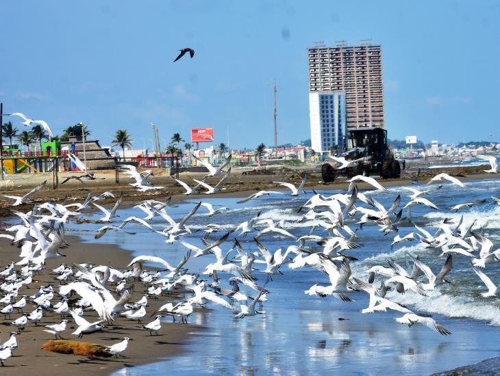 ¿Cómo estará hoy el clima en Coatzacoalcos?