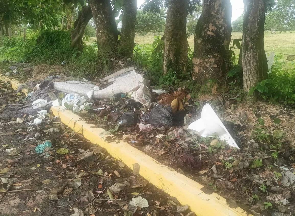 Calles del municipio de Las Choapas afectadas por la acumulación de basura y maleza