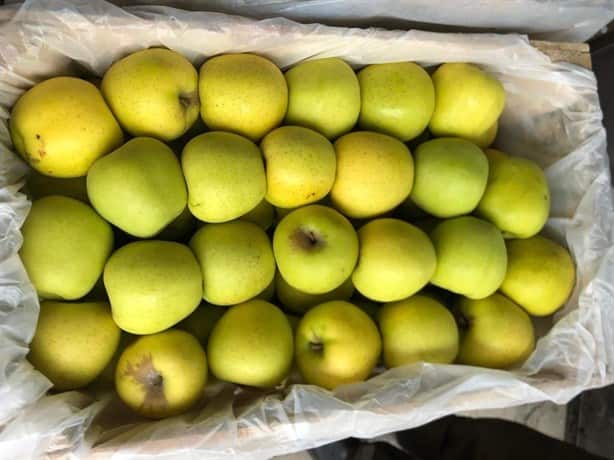 ¿Sabes qué frutas aumentaron de precio en mercados de Veracruz? Te decimos