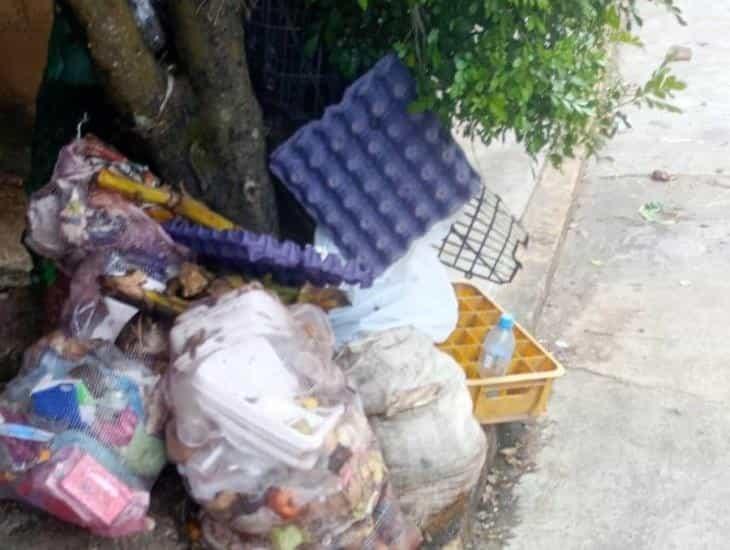Continuarán problemas en la recolección de basura en Sayula de Aléman