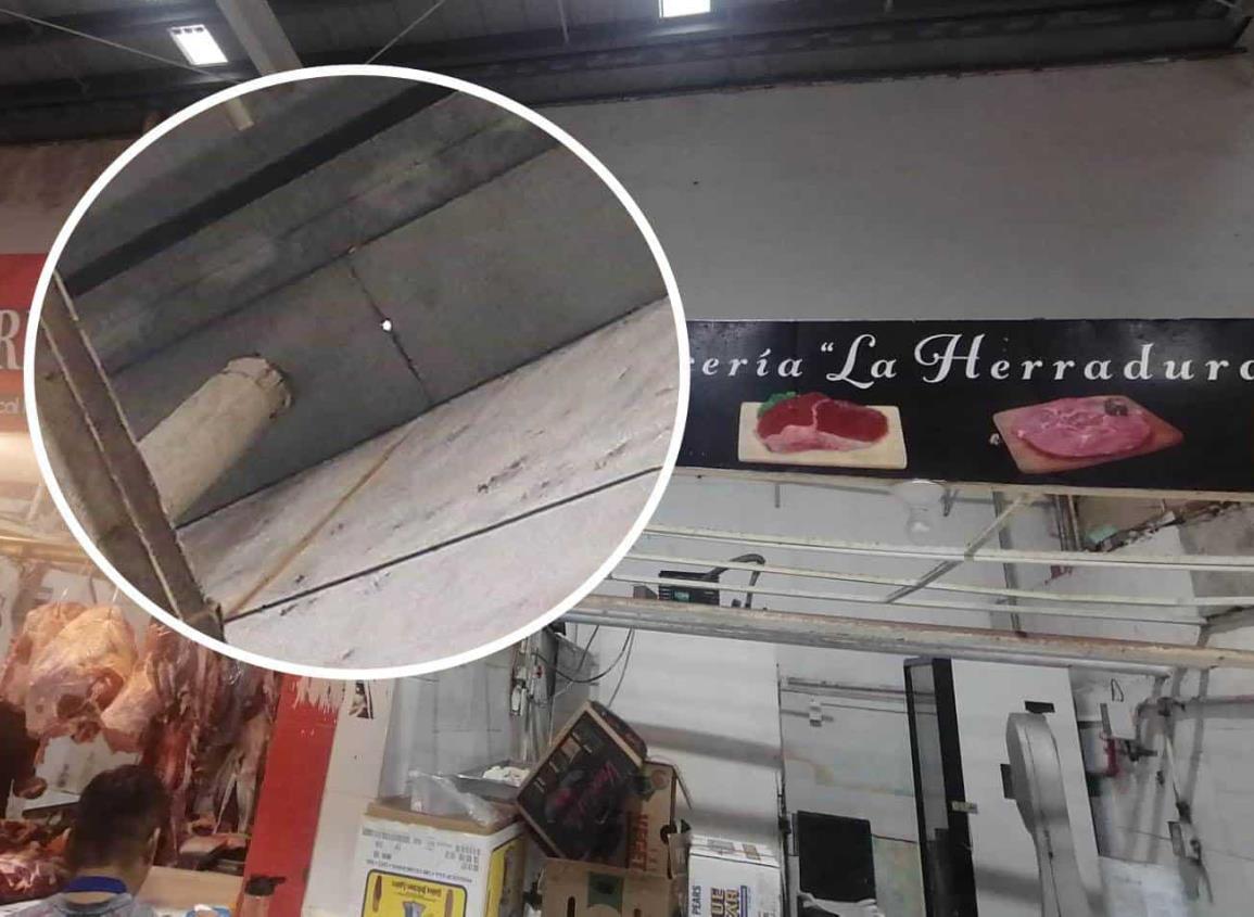 Vuelve a filtarse la lluvia en el mercado Morelos; urgen reparaciones