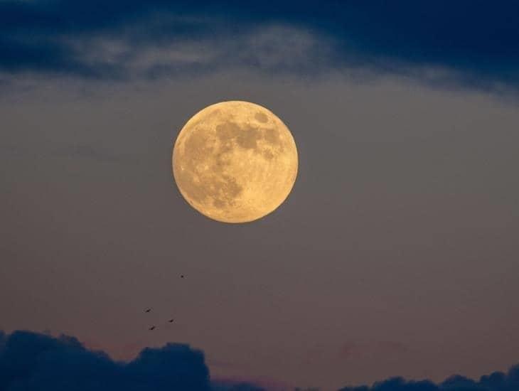 Luna llena de Noviembre: ¿a qué hora se podrá ver hoy en México?