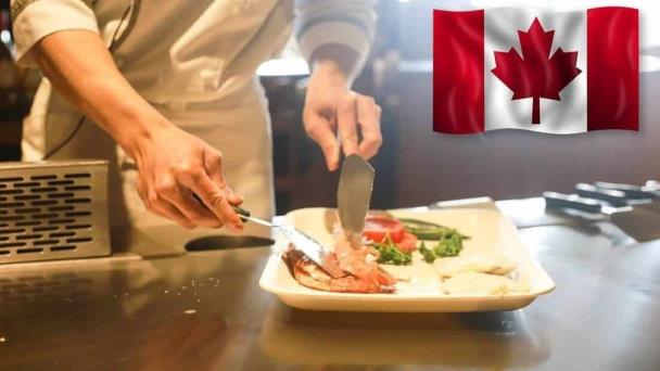 Canada offers a job opening for a cook with a salary of 28,000 pesos and few requirements