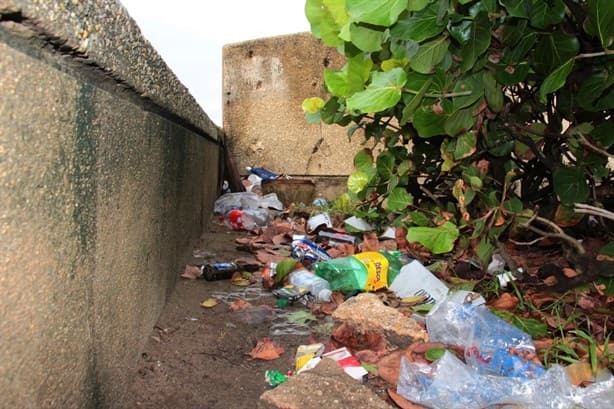 Porteños no cooperan para el embellecimiento del Malecón de Coatzacoalcos; lo usan de basurero
