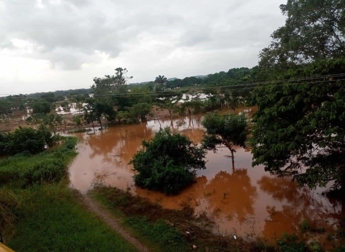 Frente Frío 13 dejó a decenas de familias sin sustento tras inundaciones de cultivos en Pajapan