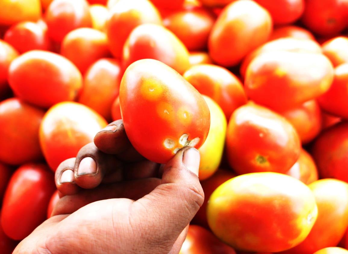 Se encarece tomate en Coatzacoalcos ¿a que precio y por qué?