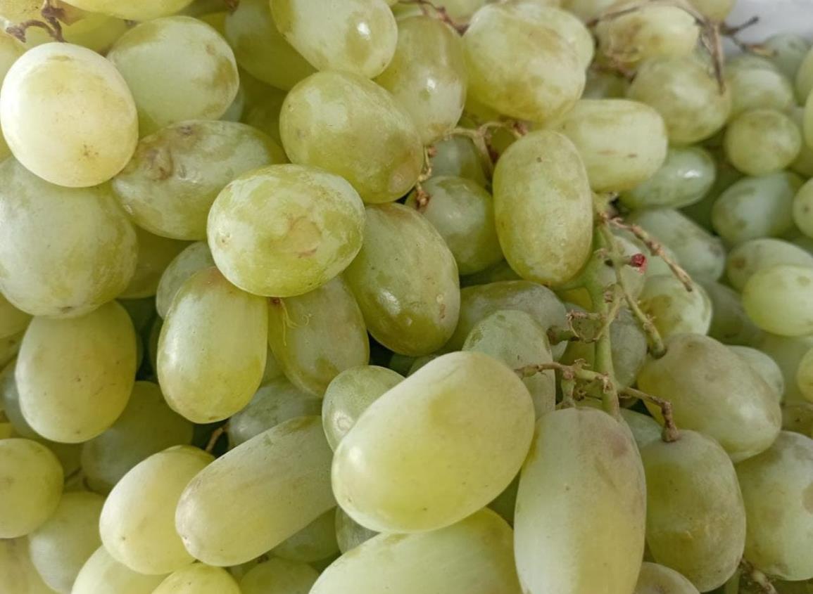 Para recibir el 2024; este es el precio de las uvas en Coatzacoalcos