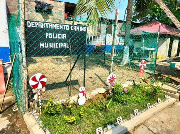 Adiestramiento canino, indispensable para la seguridad; así se implementa en Coatzacoalcos