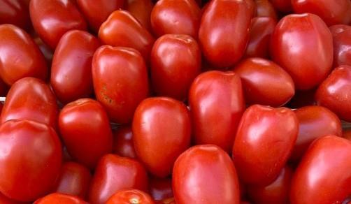 Hasta en 40 pesos el precio del tomate en Minatitlán