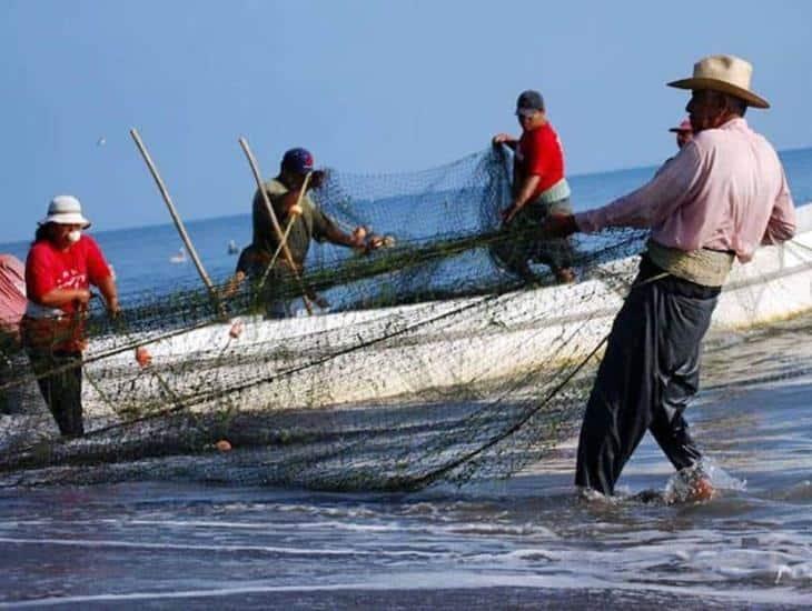 Producción pesquera en Veracruz en 2023 presentó disminución por estas causas