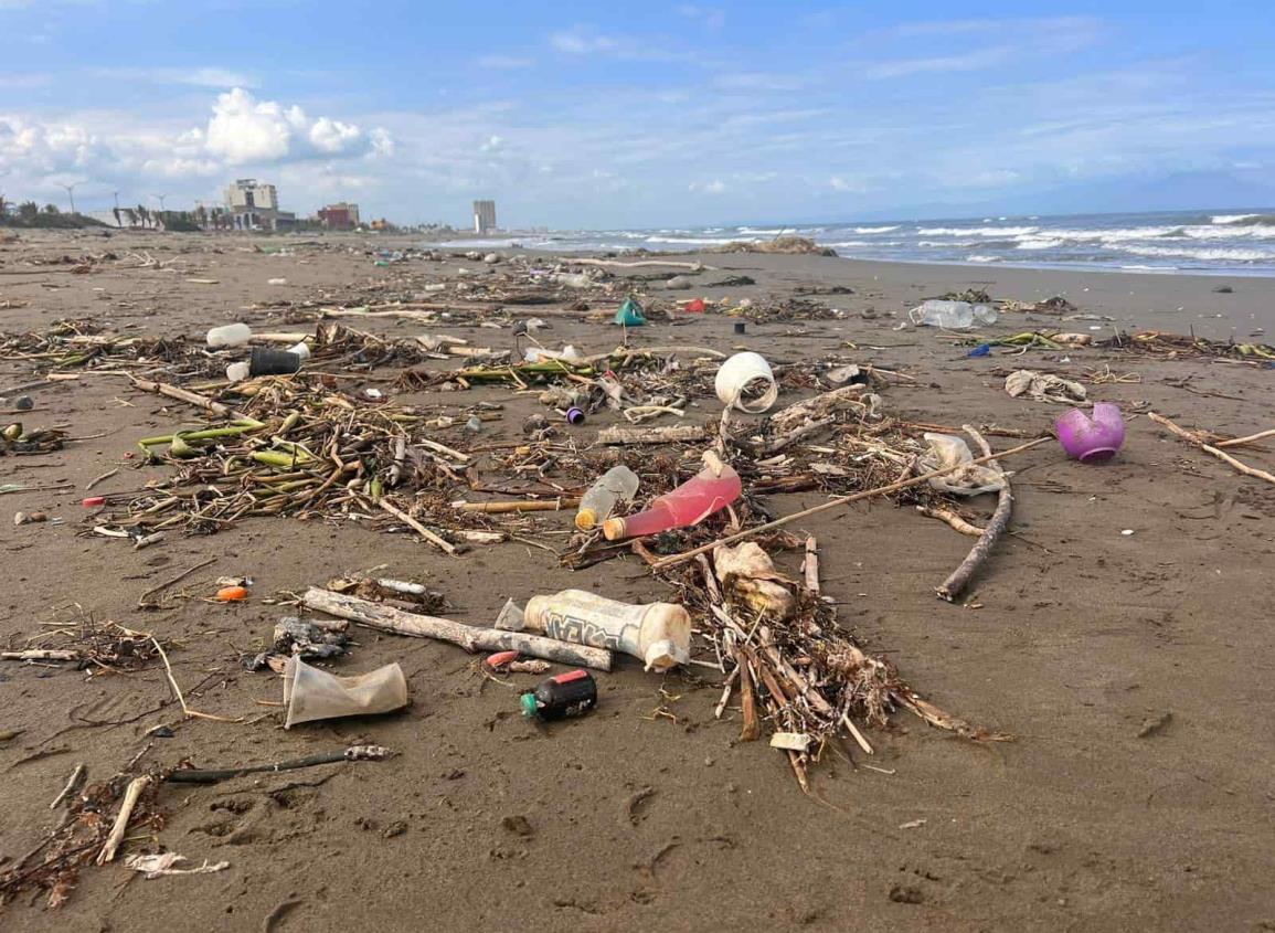 Ya no hay conchitas en la playa de Coatzacoalcos, ahora hay microplásticos