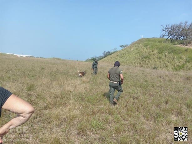 Colectivos realizan búsqueda de restos humanos al poniente de Coatzacoalcos